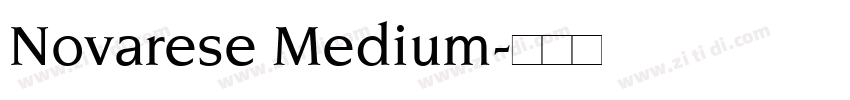 Novarese Medium字体转换